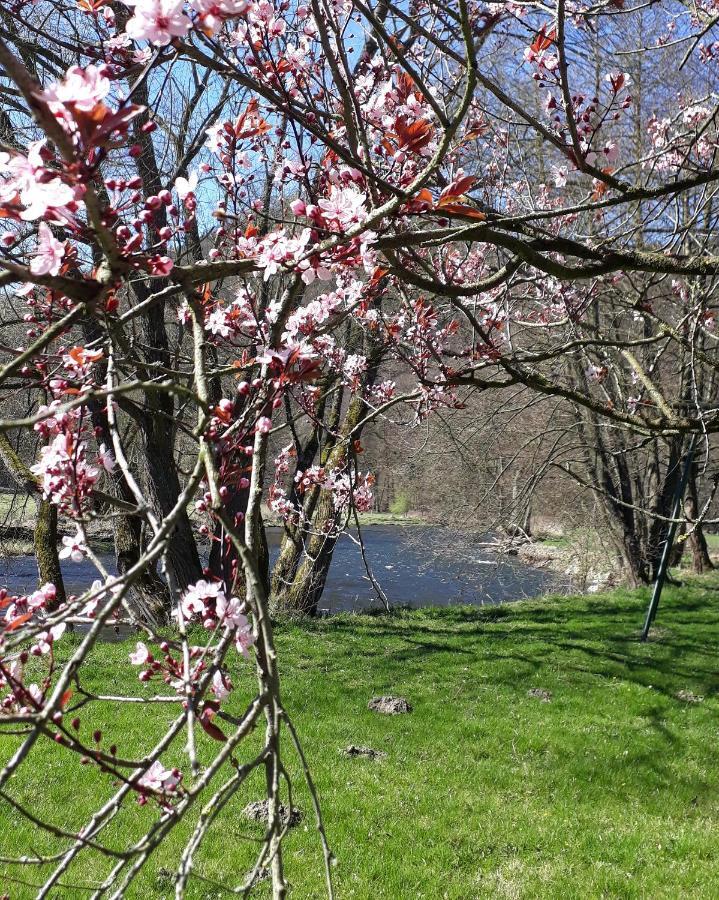 Bed & Breakfast Vallee De L'Ourthe Marcourt ภายนอก รูปภาพ